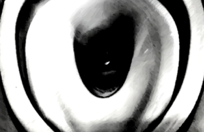 写真画像解析（モノクロ解析実施写真）