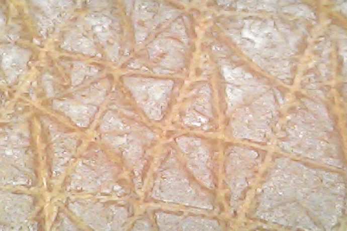 ファンデーションを塗布した肌（水道水洗浄後）